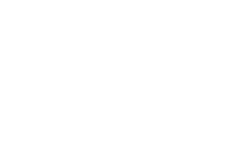 Stackspin logo composition